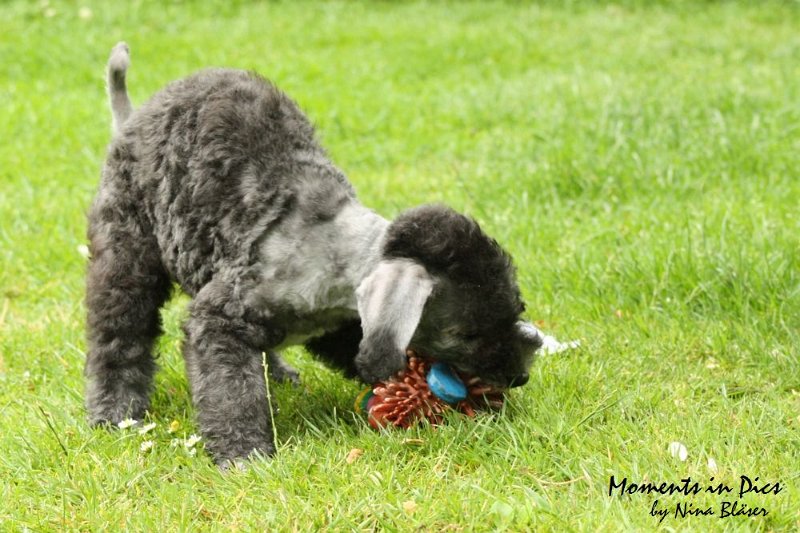 Antares 2009-07-12 (30).JPG